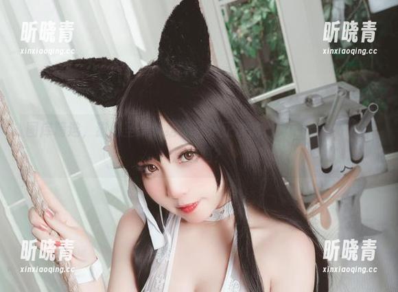 图库精选，猫田圣奈奈给你带来正宗的“可畏”，有人敢反驳吗？