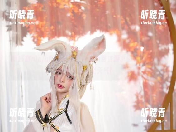 阿寨寨ninja 阿寨寨ninja的夏日秘鲁——免费资源拿到手软,潮湿可不仅仅是天气!